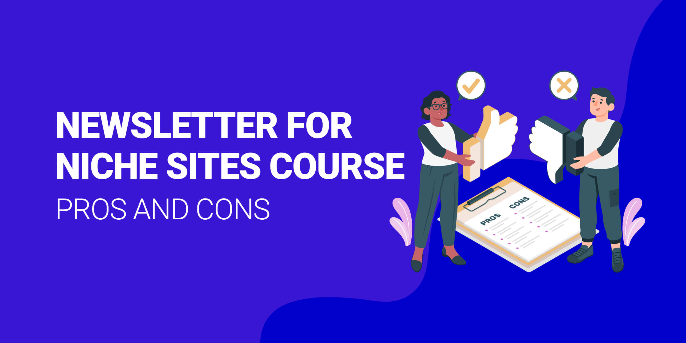 Newsletter for Niche Sites Pros and Cons