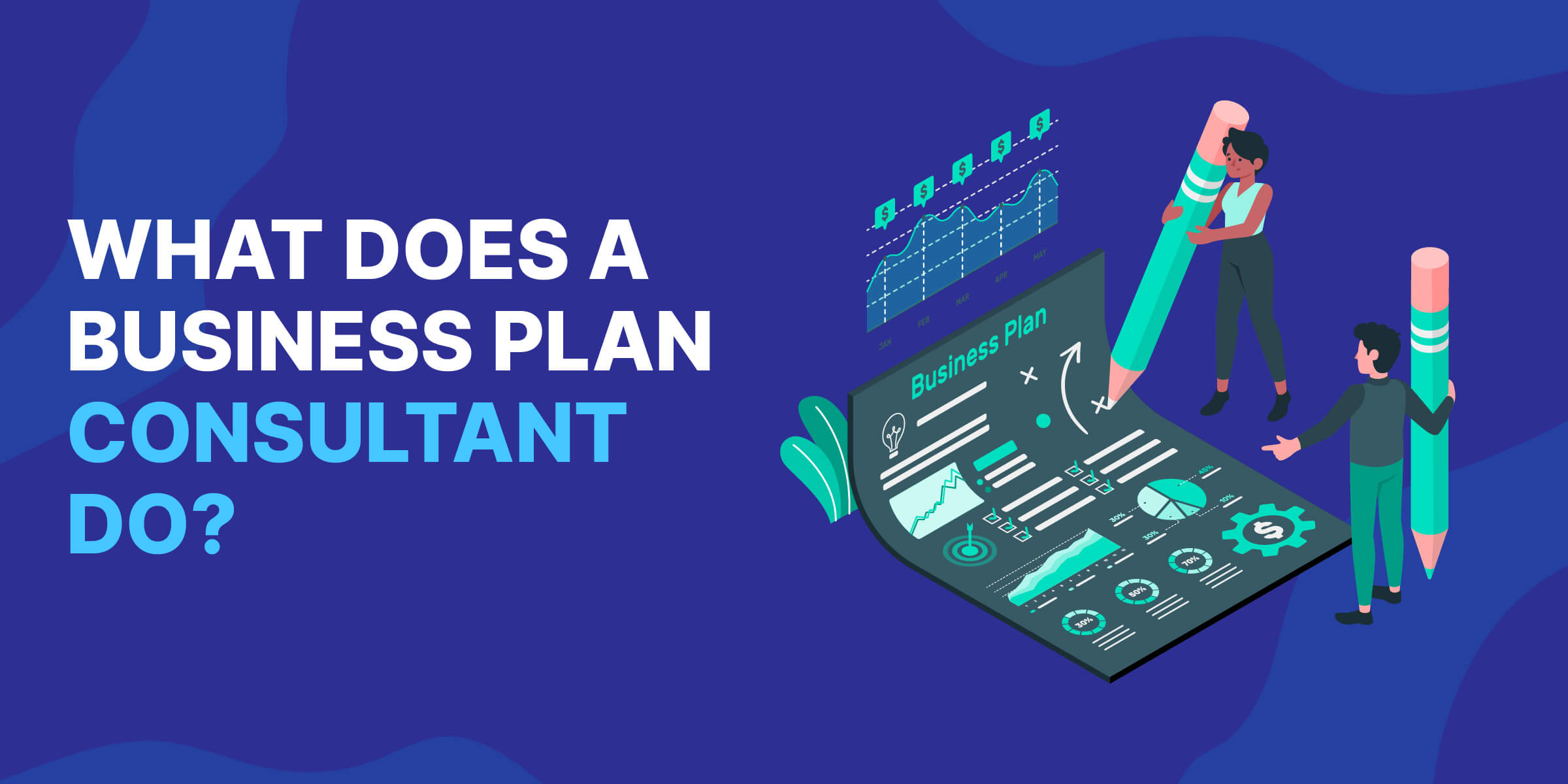 What Does a Business Plan Consultant Do