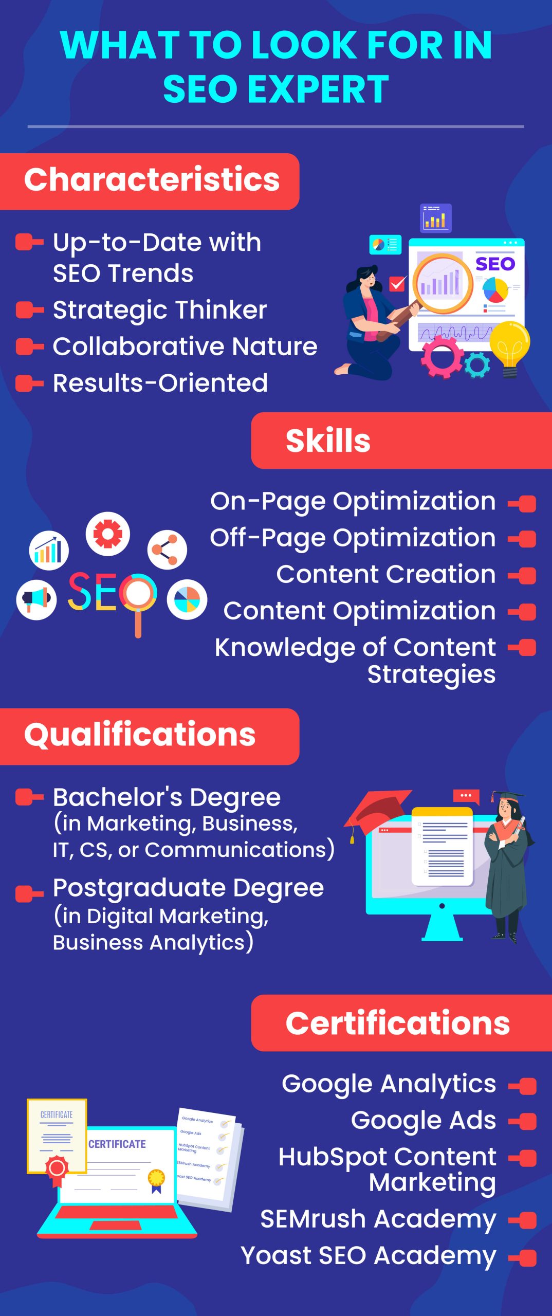 What to Look for in SEO Expert Infographic