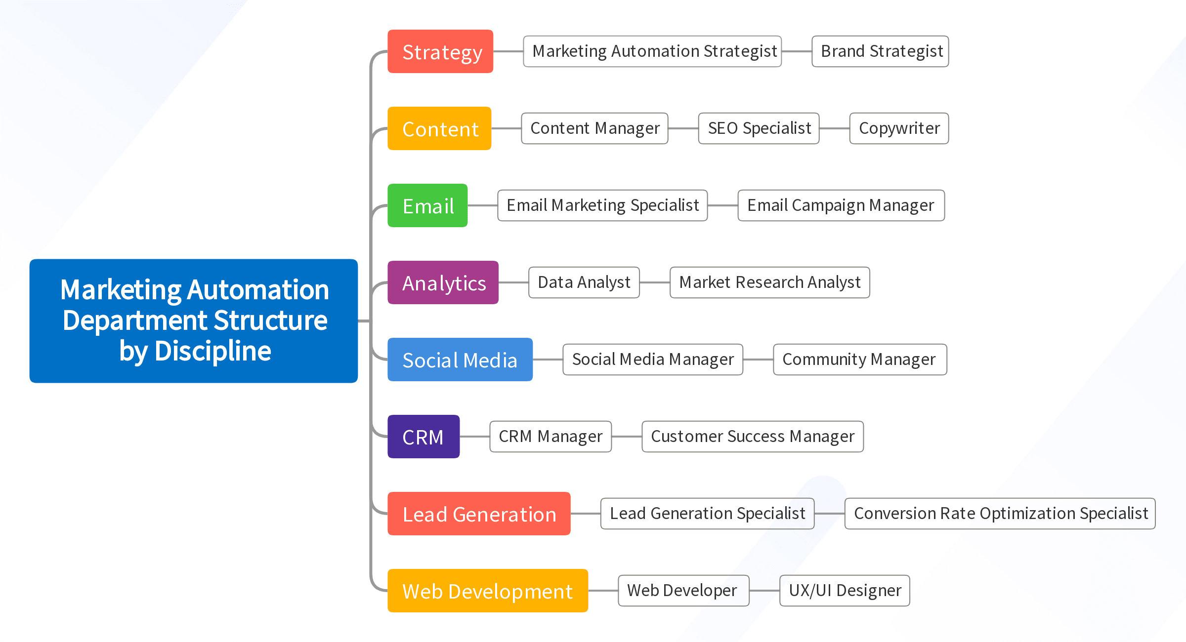 Marketing Automation Department Structure by Discipline