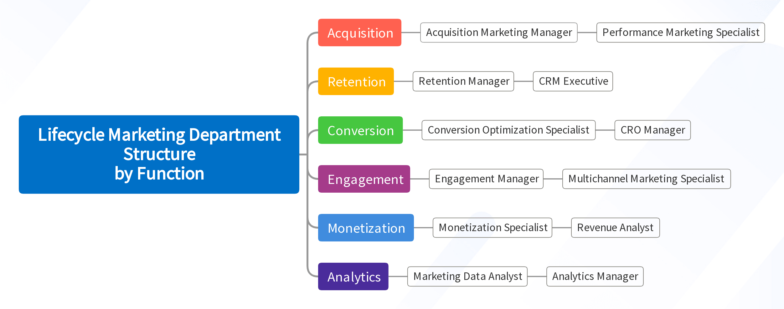 Lifecycle Marketing Department Structure by Function