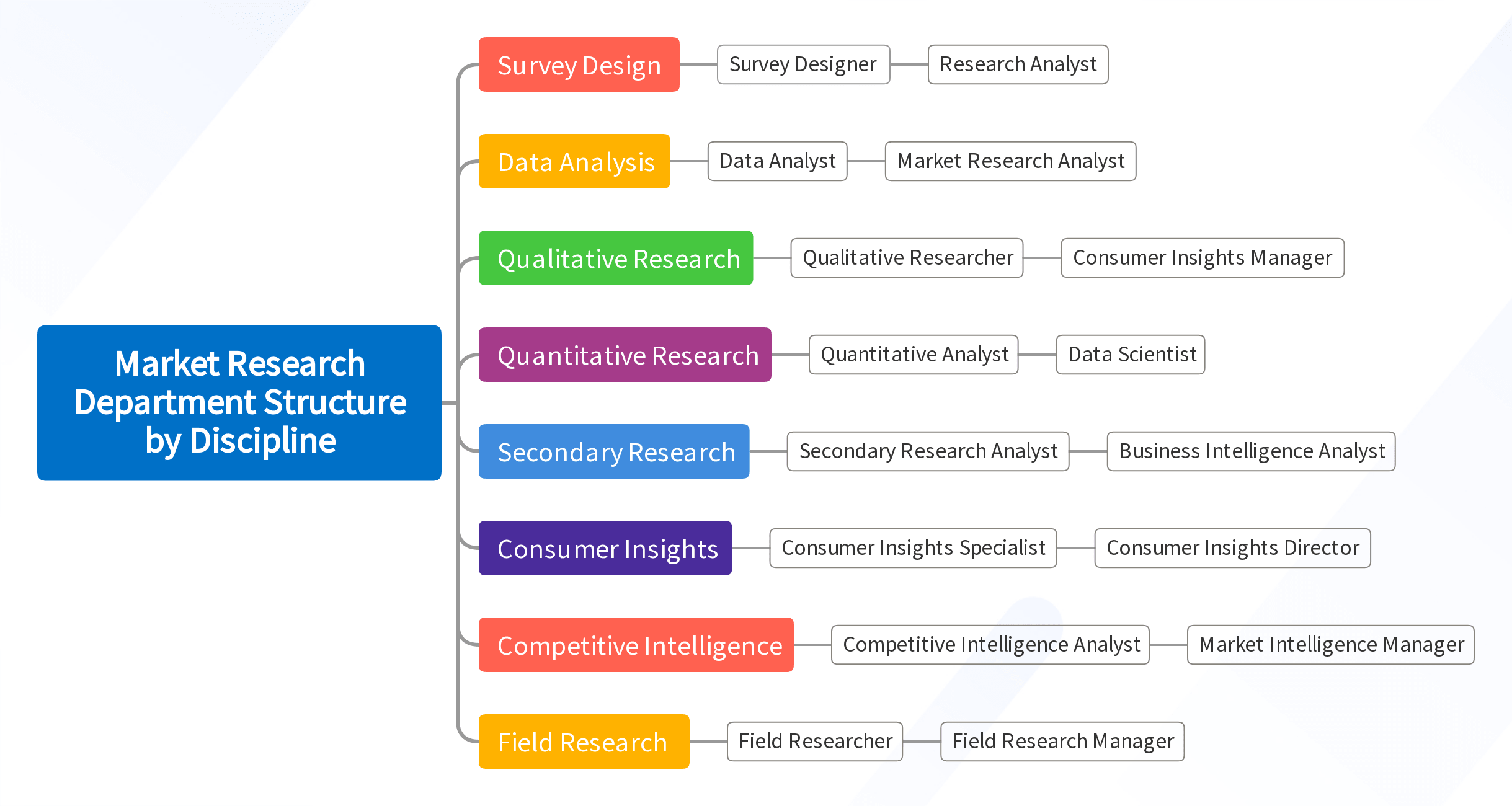 Market Research Department Structure by Discipline