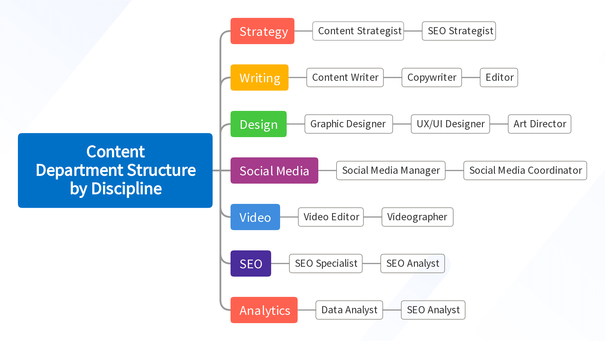 Content Department Structure by Discipline