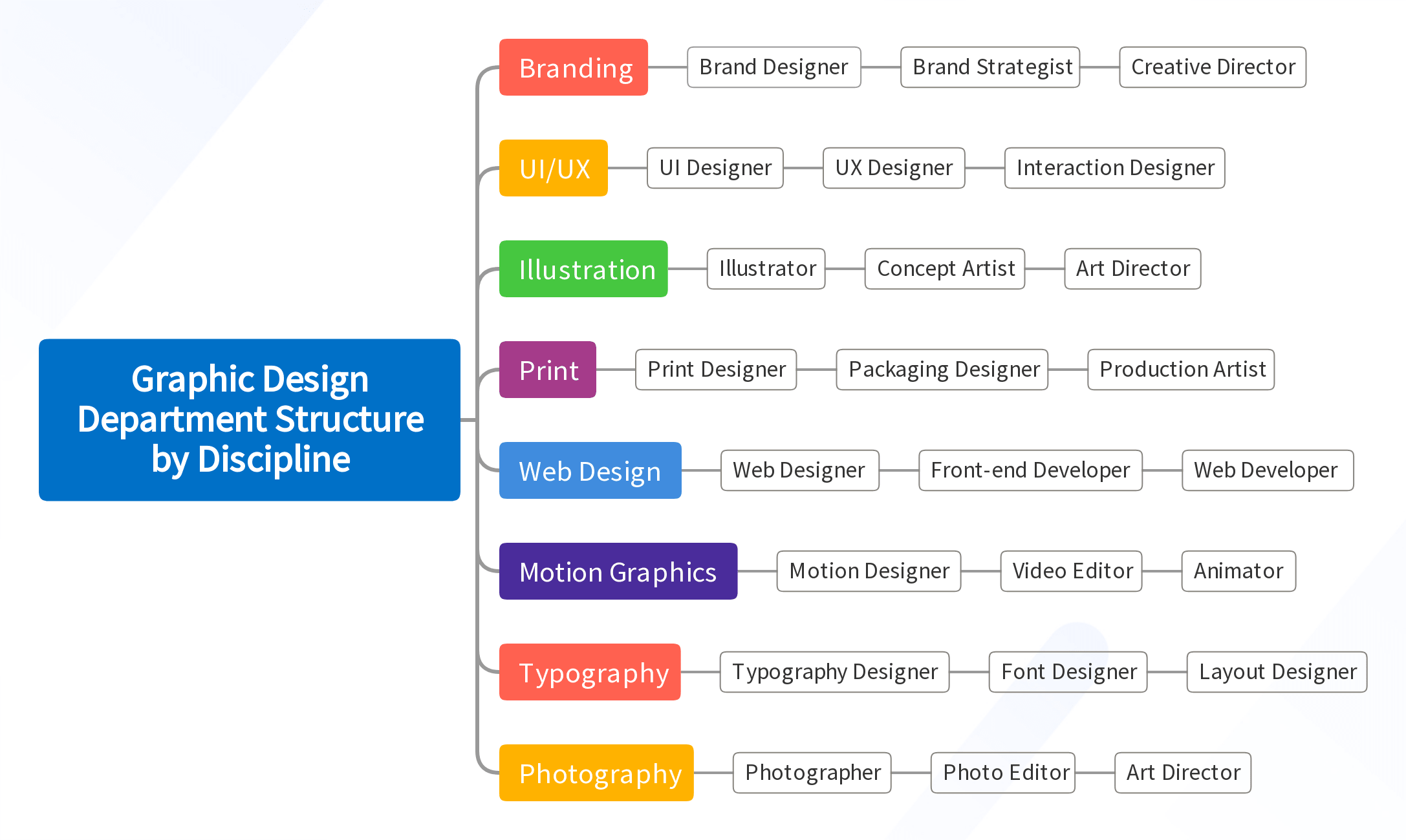 Graphic Design Department Structure by Discipline