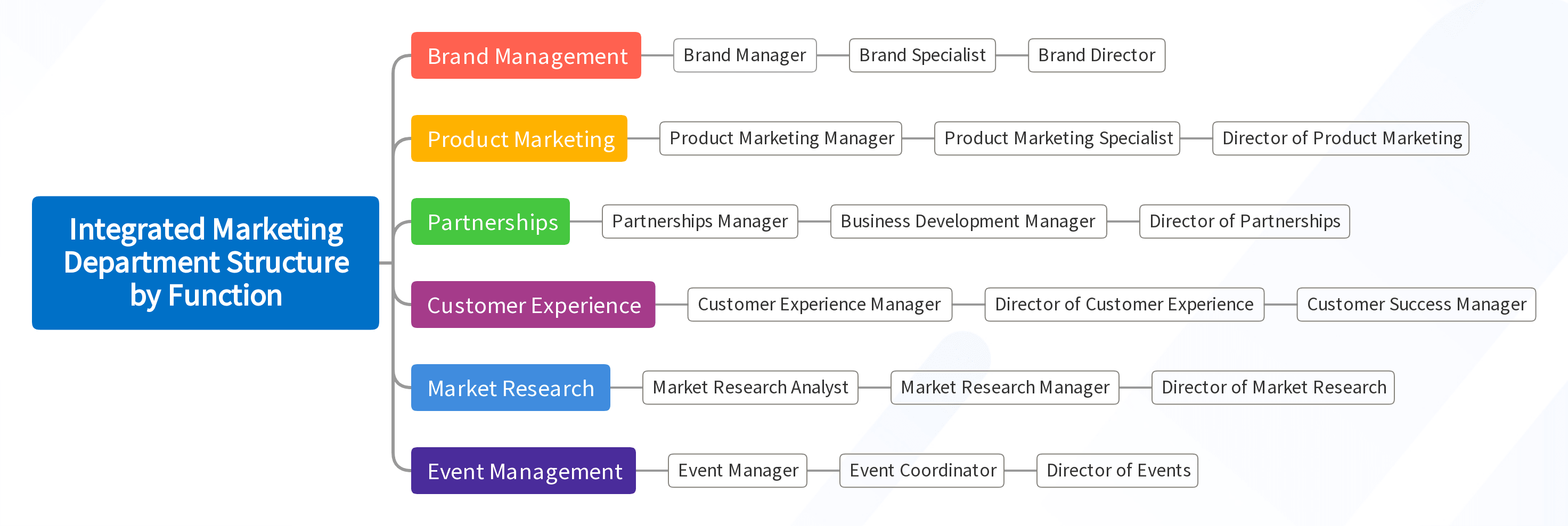 Integrated Marketing Department Structure by Function