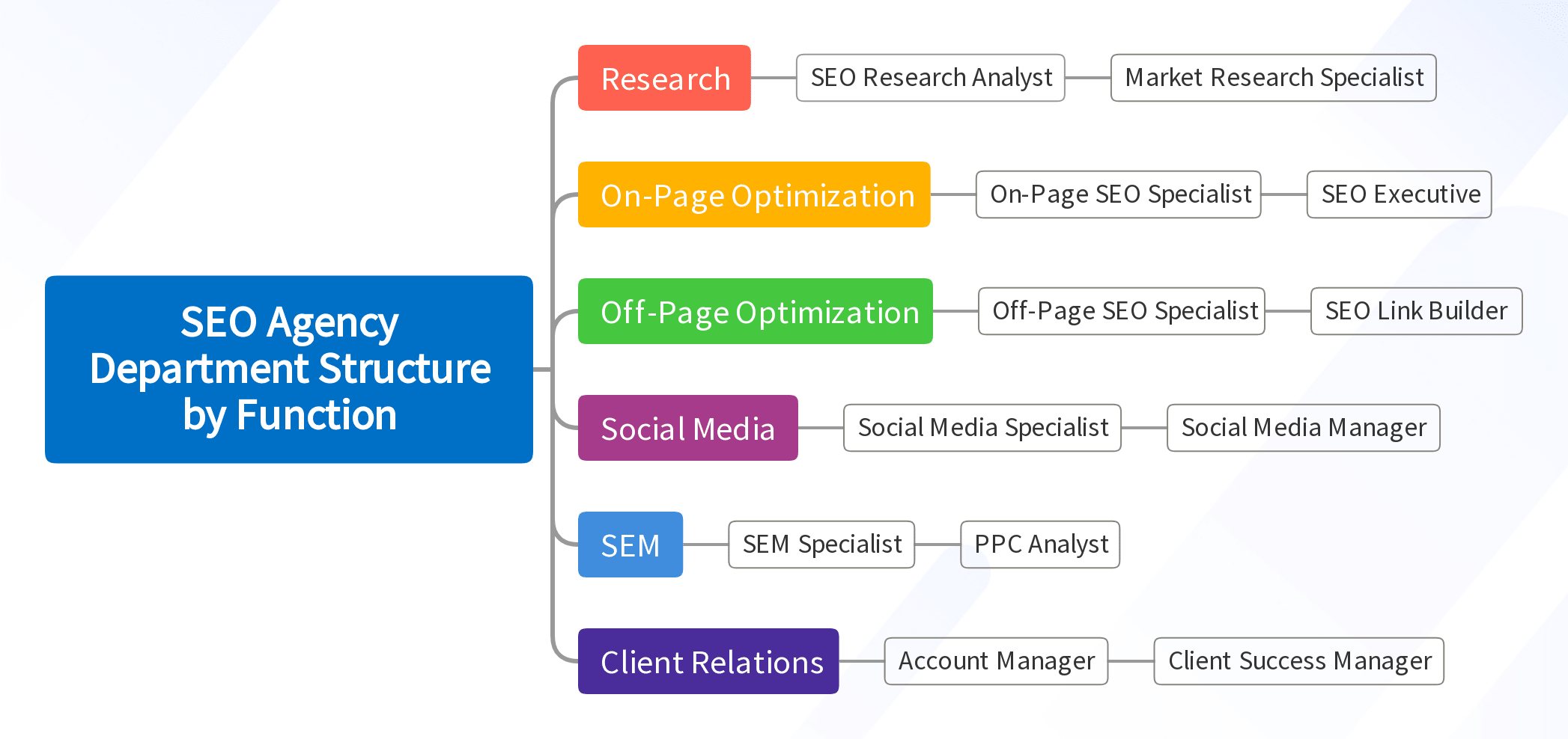 SEO Agency Department Structure by Function
