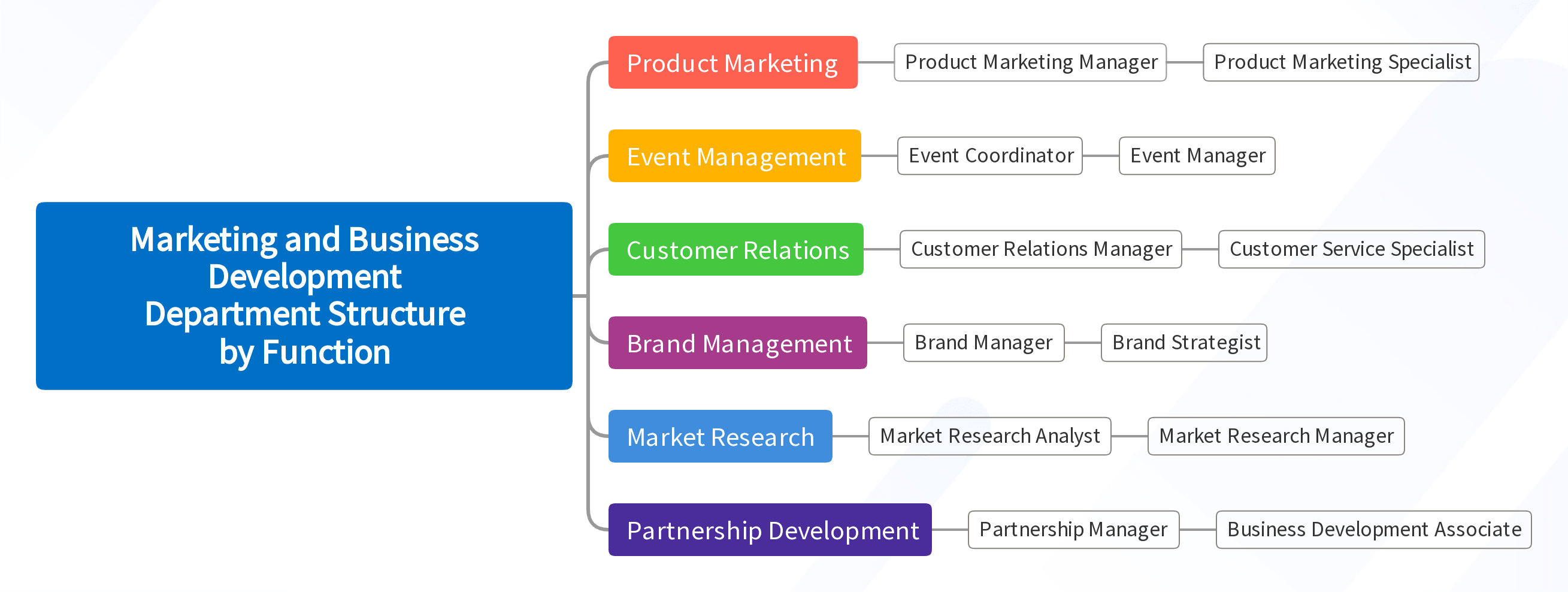 Marketing and Business Development Department Structure by Function