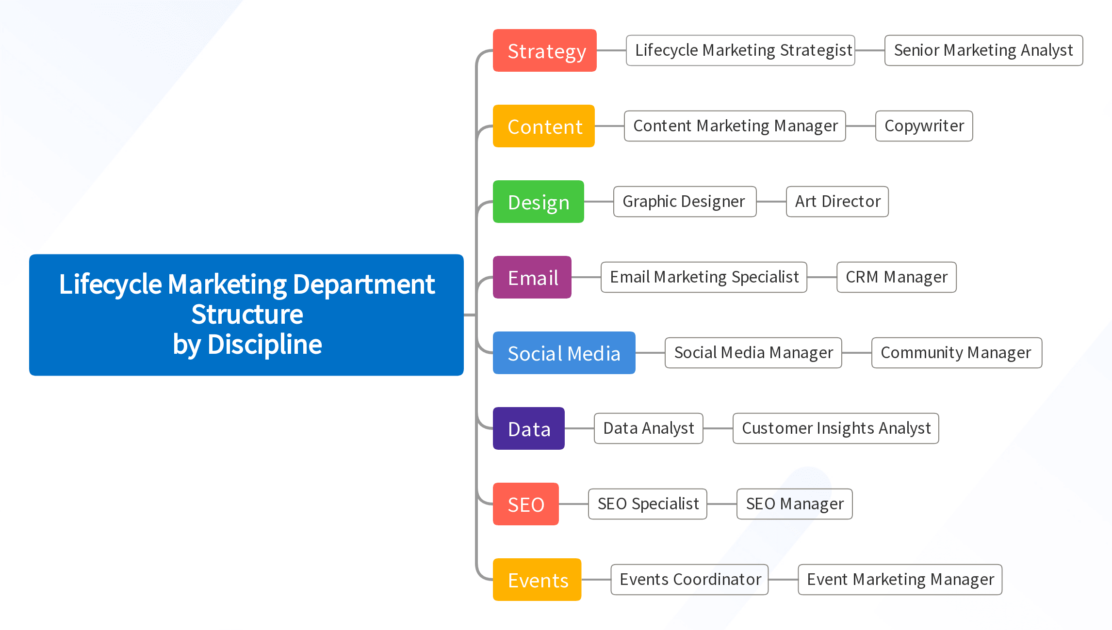 Lifecycle Marketing Department Structure by Discipline