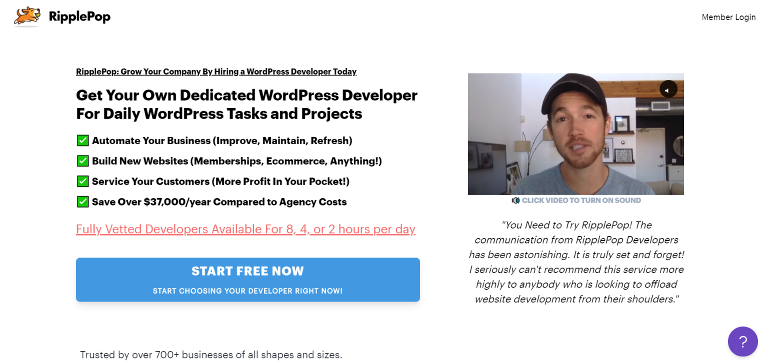 RipplePop WordPress Development Service