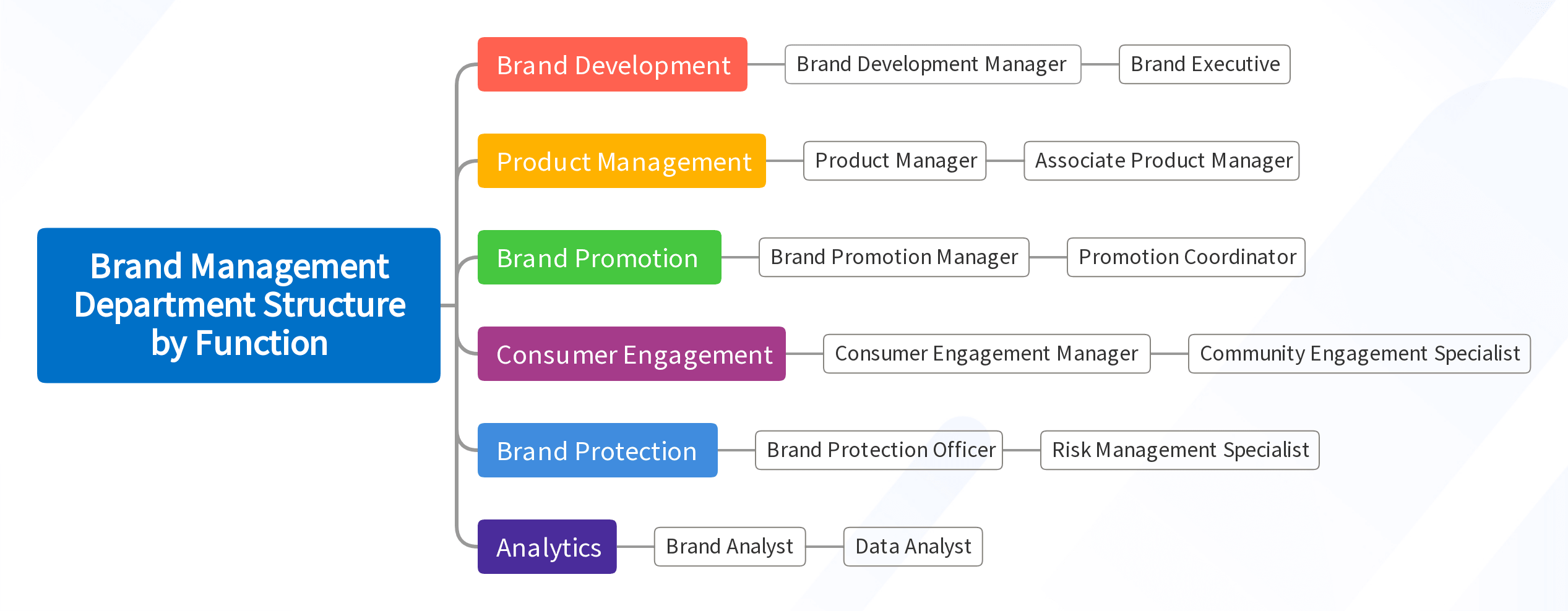Brand Management Department Structure by Function