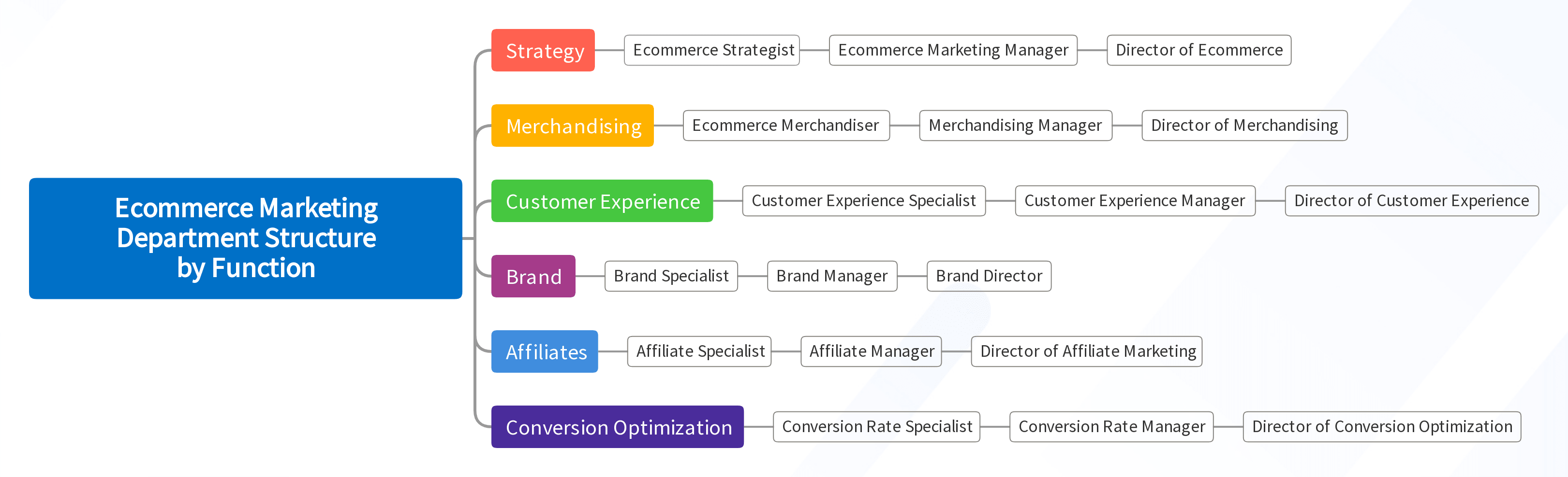 Ecommerce Marketing Department Structure by Function