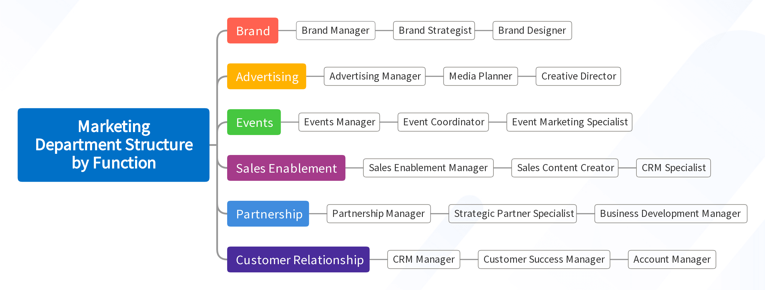 Marketing Department Structure by Function