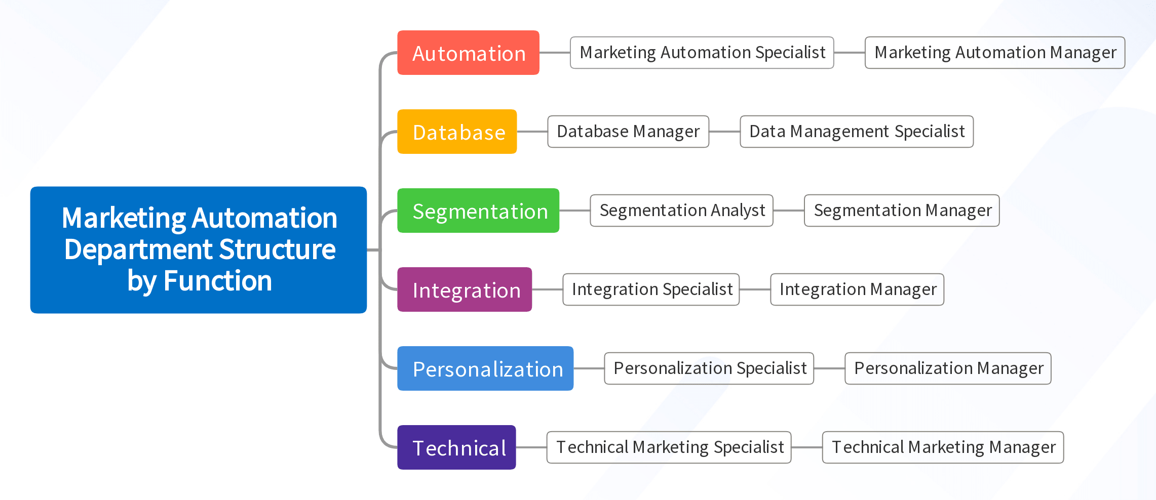 Marketing Automation Department Structure by Function