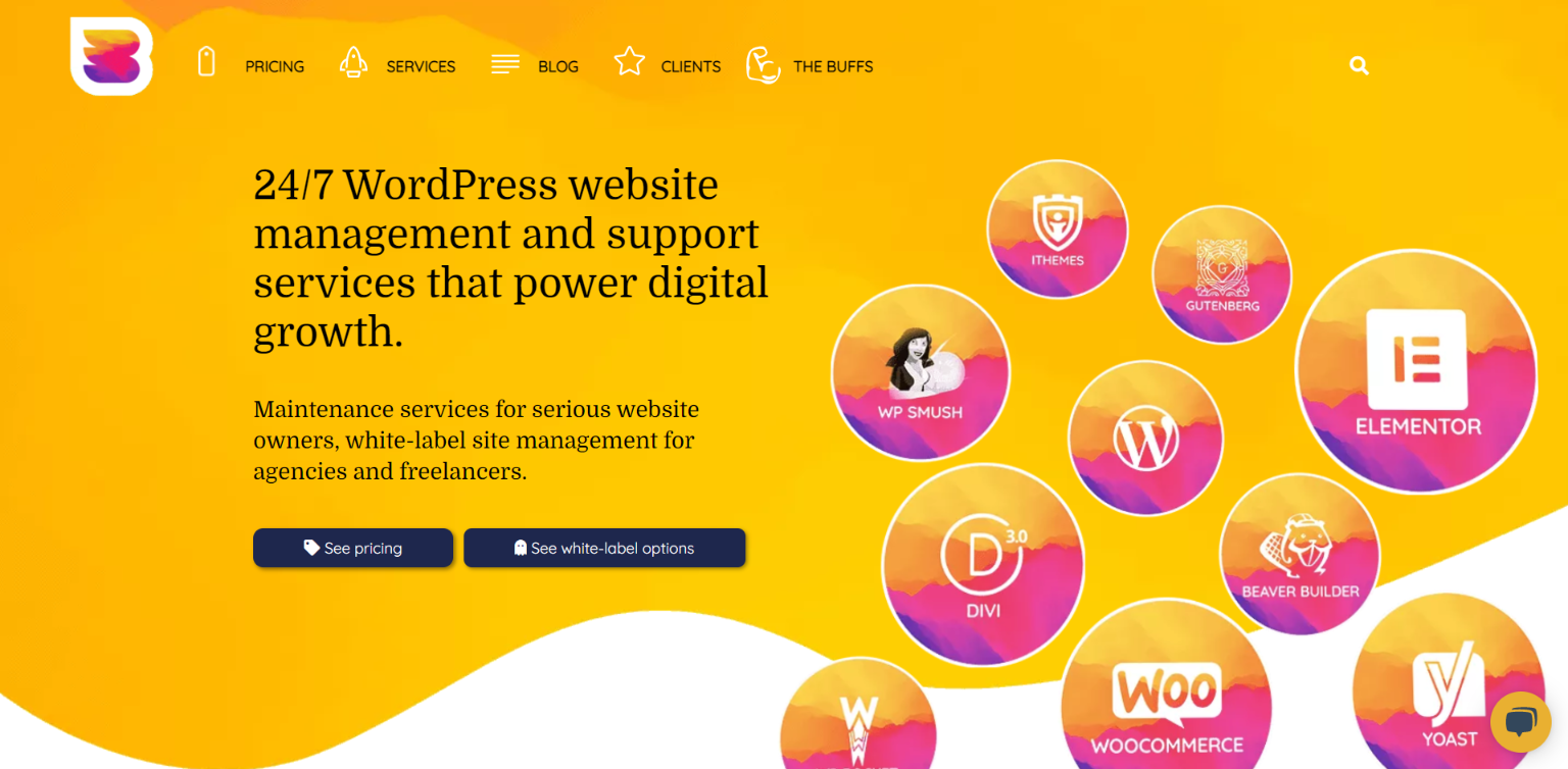 WordPress Maintenance Services - WP Buffs