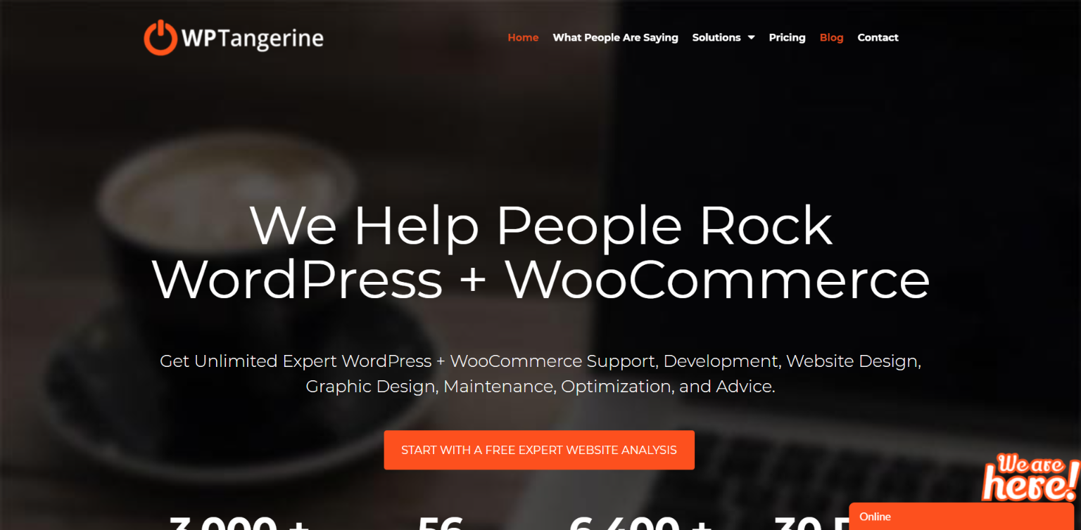 WordPress Maintenance Services - WP Tangerine